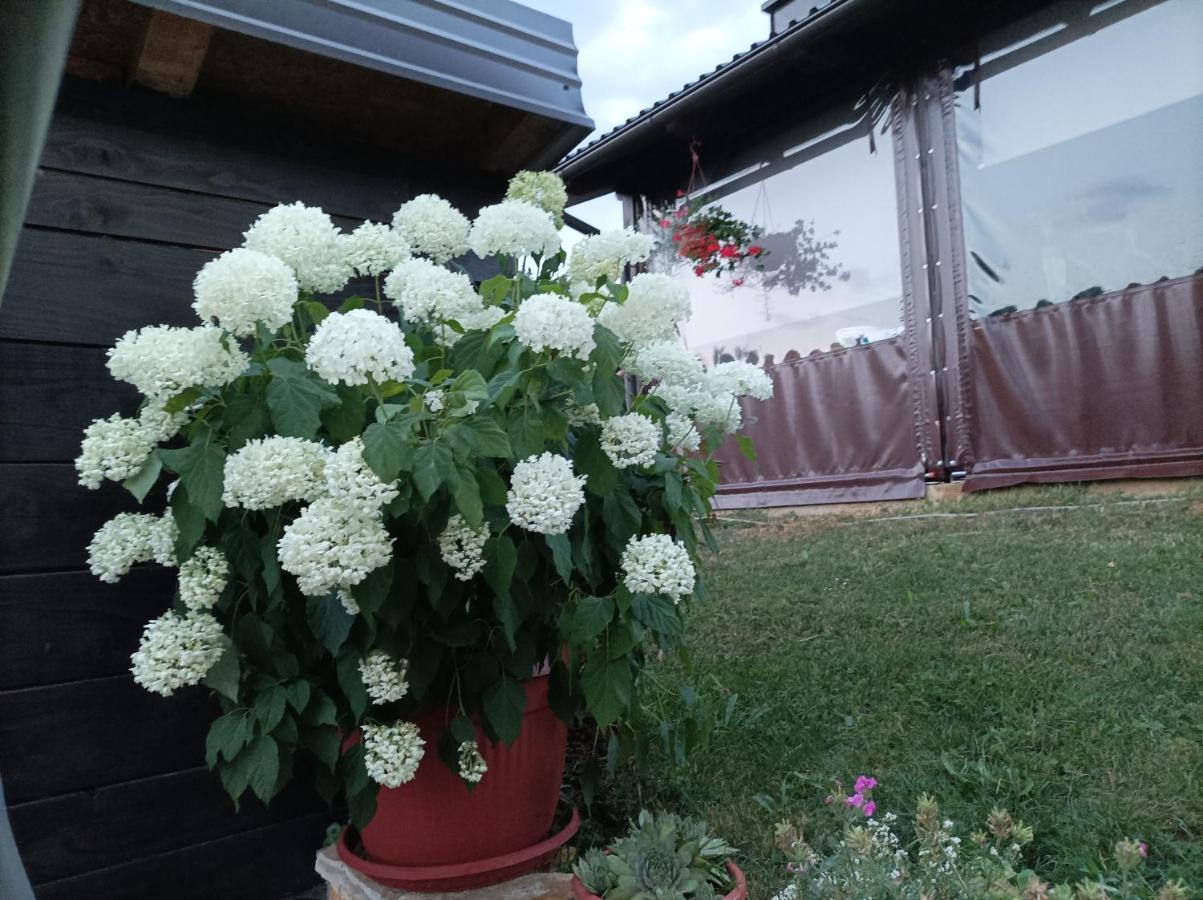 Apartamento M&S&N Grabovac  Exterior foto